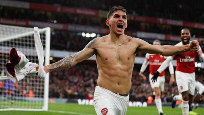 Torreira