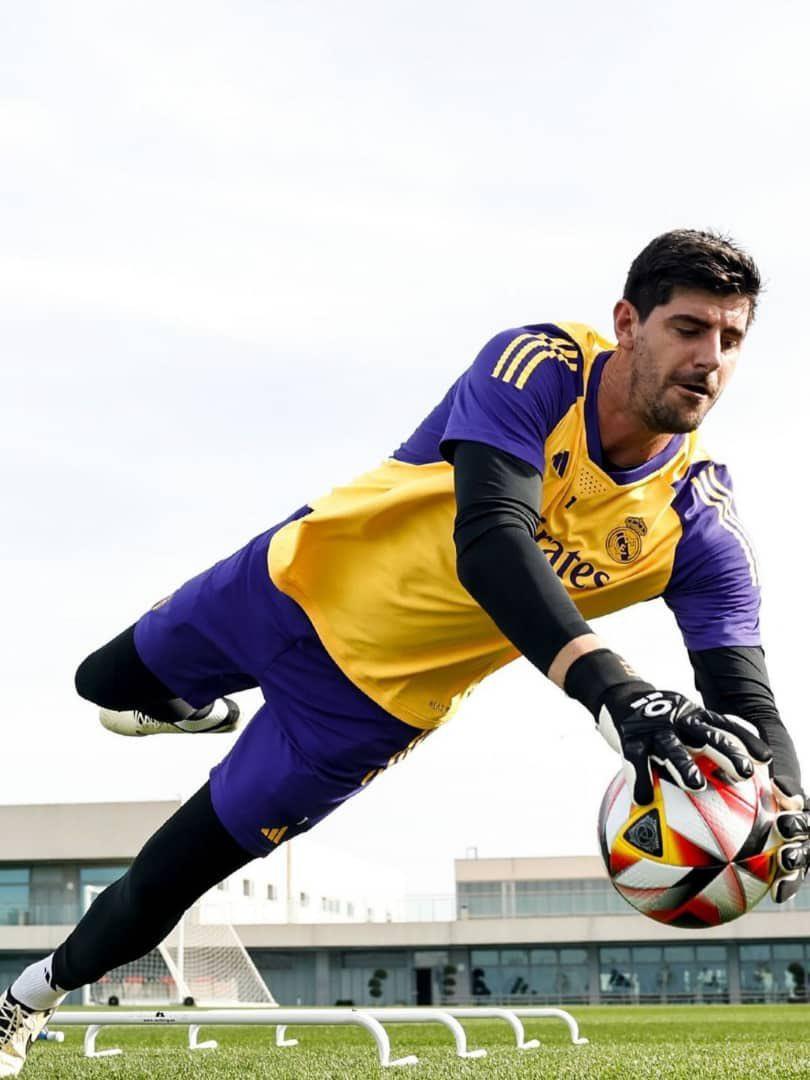 Courtois