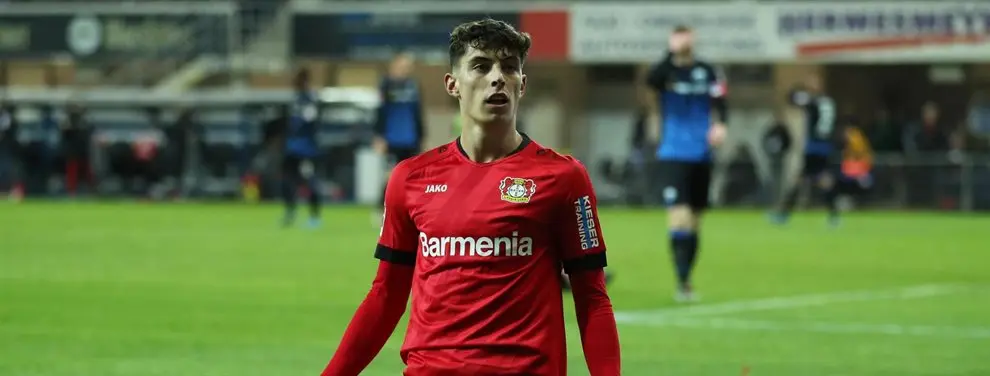 Lo fichan con el dinero de Havertz: el Leverkusen se lo quita al Barça