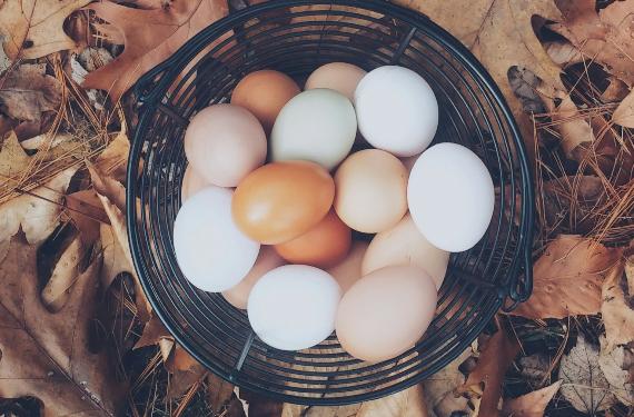 El truco para no comerte un huevo con Salmonela